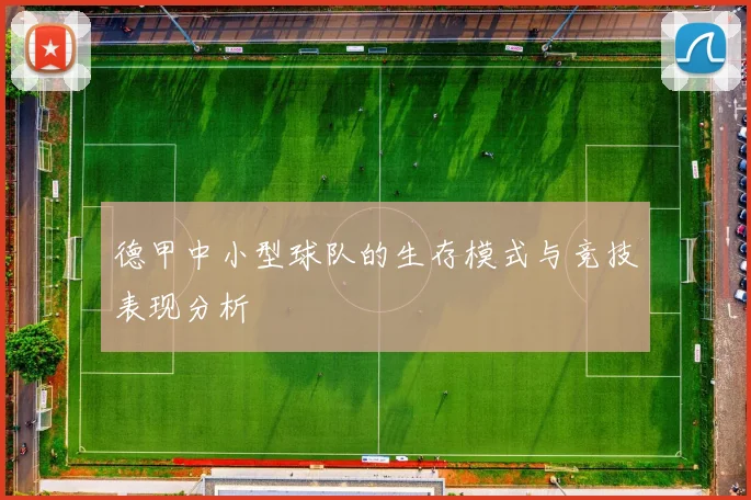 德甲中小型球队的生存模式与竞技表现分析