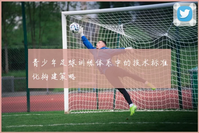 青少年足球训练体系中的技术标准化构建策略