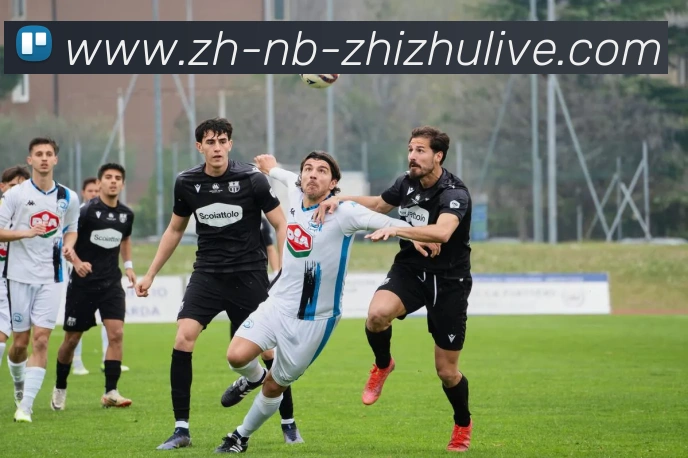 蜘蛛直播平台生态图