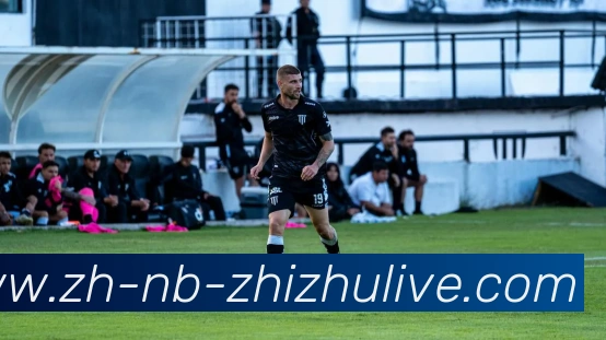 蜘蛛直播APP 封面图