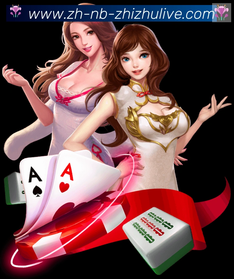 蜘蛛直播荣誉