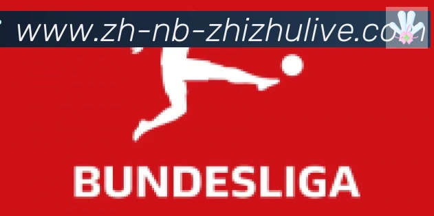 蜘蛛直播合作伙伴